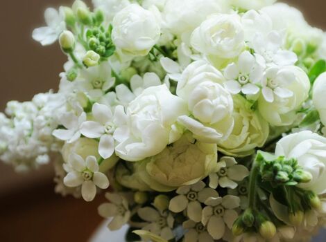 しろいきれいな花