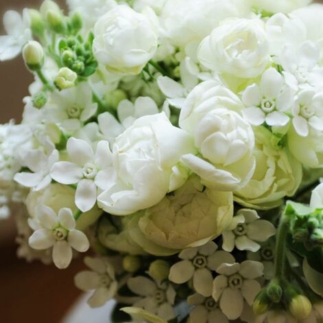 しろいきれいな花